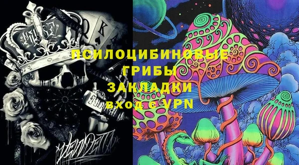 бошки Алексин