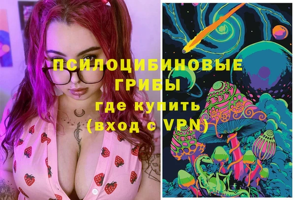бошки Алексин