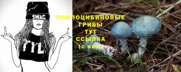бошки Алексин