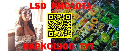 Альфа ПВП Ярославль