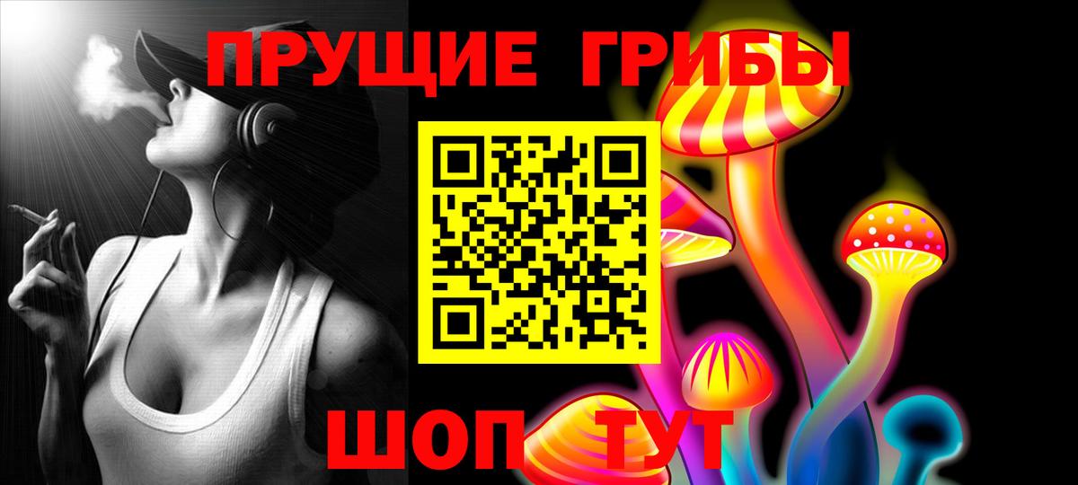 Боровичи  Псилоцибиновые грибы Psilocybine cubensis  Вход с VPN  Галлюциногенные грибы ЛСД 